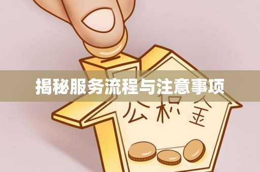 晋州揭秘服务流程与注意事项