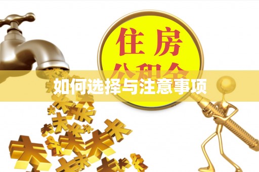 晋州如何选择与注意事项